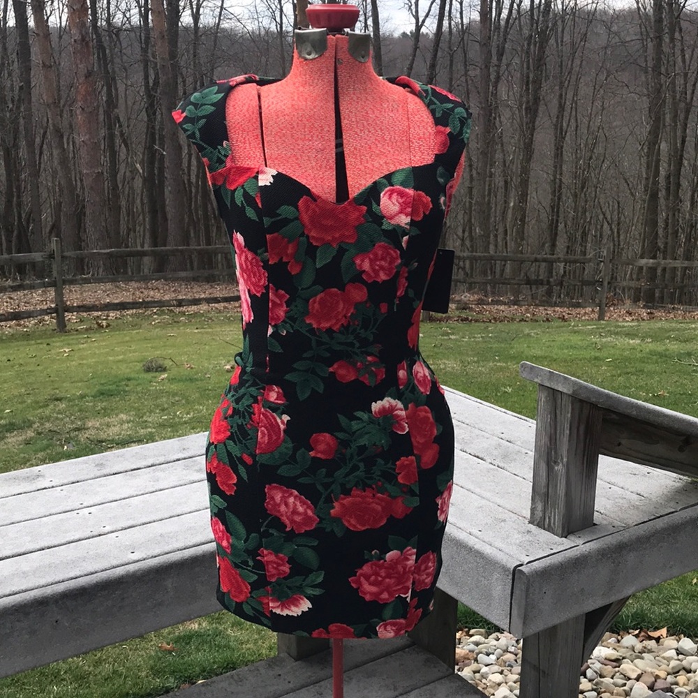 Adorable NWT Black & Red Roses Bodycon dress by Guess Sz 2